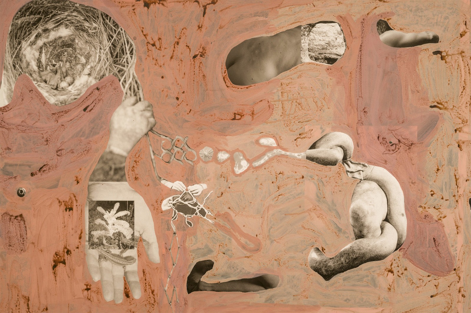 圖十二、《地勢(shì) (關(guān)于時(shí)間，關(guān)于身體)》 (細(xì)節(jié)圖)，O?zlem Alt?n，2019