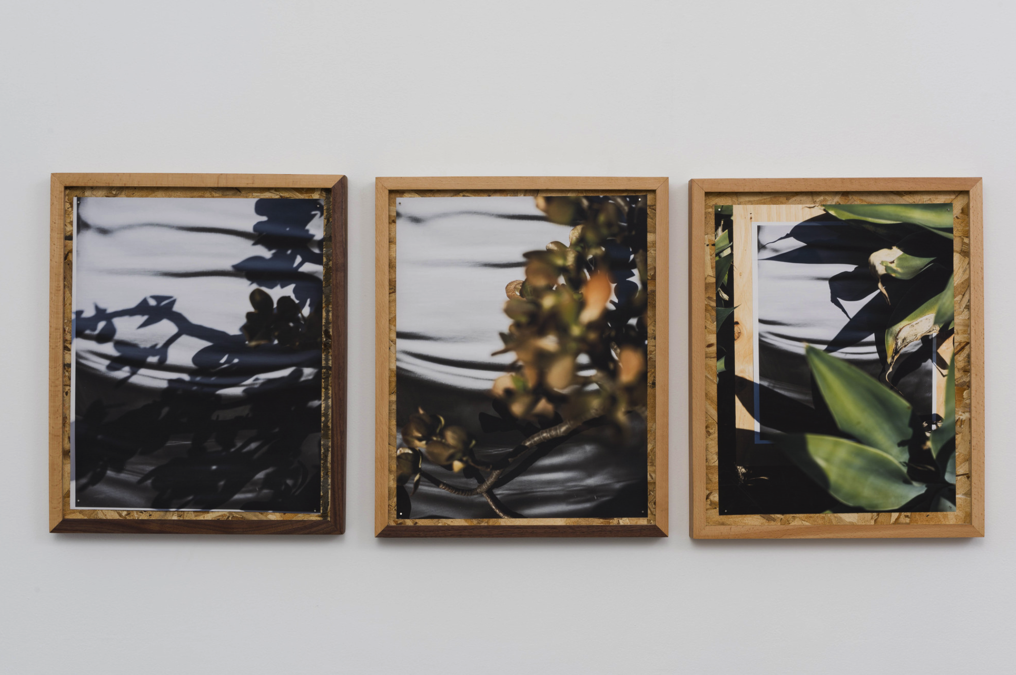 圖四、從左至右《庫卡蒙格牧場(chǎng) 34.1064° N, 117.5931° W. 》2018《回聲公園 34.0782° N, 118.2606° W.》 2018《康普頓 33.8958° N, 118.2201° W. 2018》David Alekhuogie